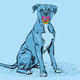 Illustration for article titled Your Dog Is Not Your Child